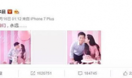 娱乐圈吃瓜群众小说,瓜田里的秘密风云